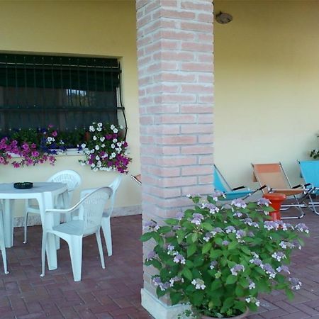 Villa Gioconda Resort Migliarino Екстер'єр фото